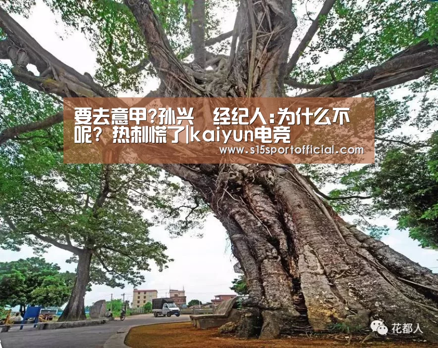 开云电竞