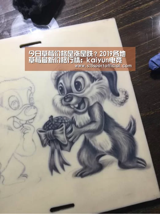 开云电竞