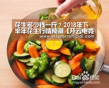 开云电竞平台
