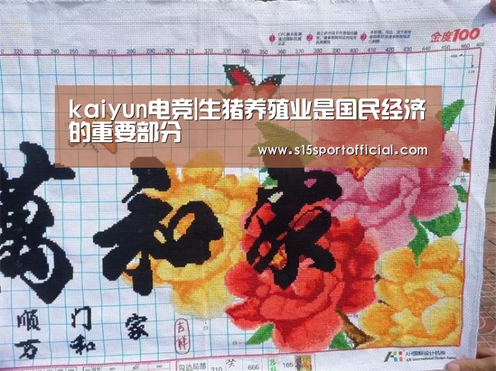 开云电竞官网
